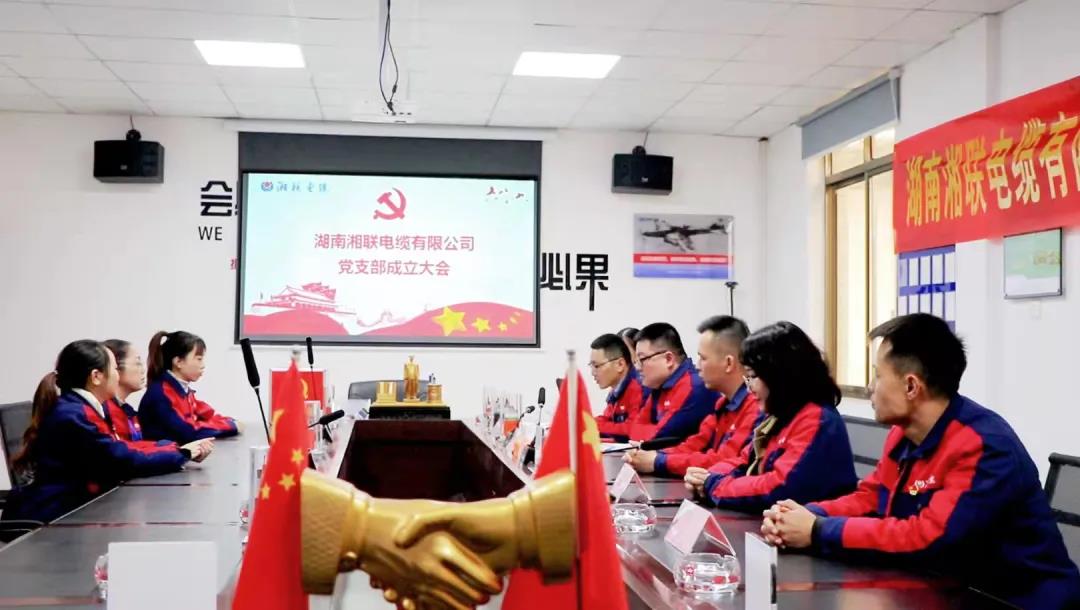 新征程 | 熱烈祝賀湖南湘聯電纜有限公司黨支部正式成立！